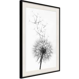 Arkiio Affisch Dandelion [Poster] 30x45 Poster